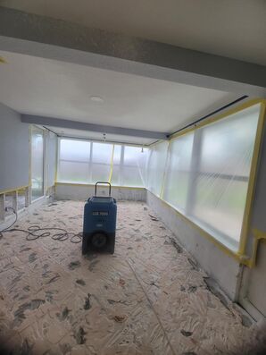 Mold Remediation Services in Saint Johns, FL (4)