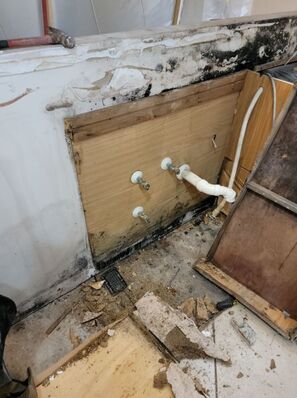 Mold Remediation in Jacksonville, FL (6)