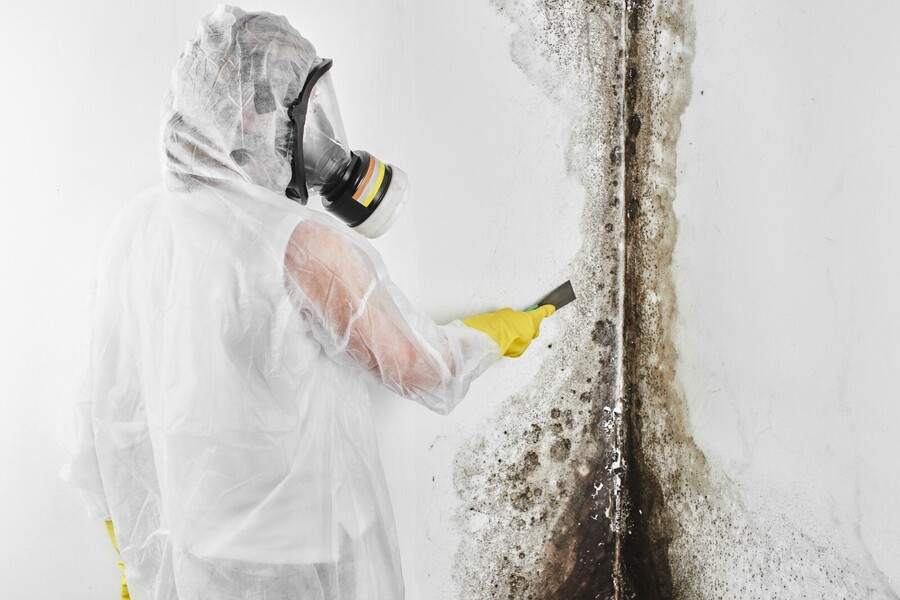 Mold Remediation by DMS Restoration Services, Inc