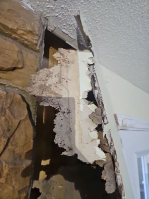 Water Damage Restoration in Jacksonville, FL (5)