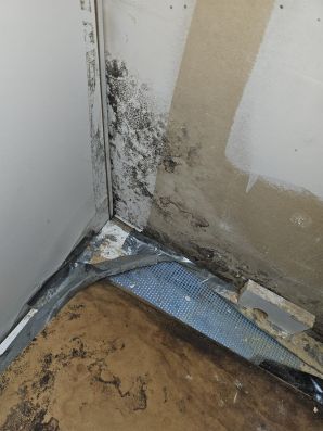 Mold Remediation in Jacksonville, FL (1)