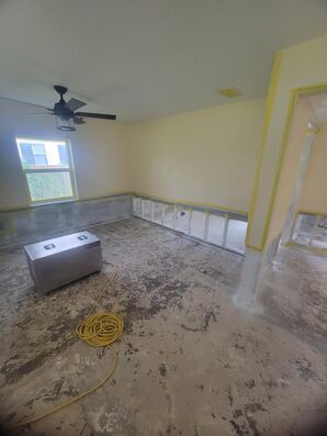 Mold Remediation Services in Saint Johns, FL (3)