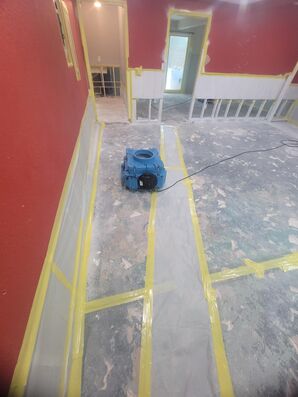 Mold Remediation Services in Saint Johns, FL (6)