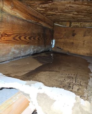 Mold Remediation in Jacksonville, FL (2)