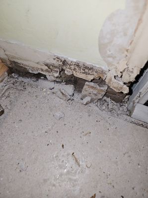Water Damage Restoration in Jacksonville, FL (6)
