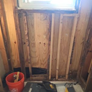 Mold Remediation in Jacksonville, FL (2)
