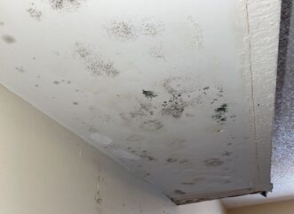 Mold Remediation in Jacksonville, FL (4)