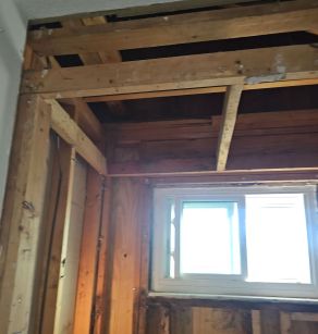 Mold Remediation in Jacksonville, FL (1)