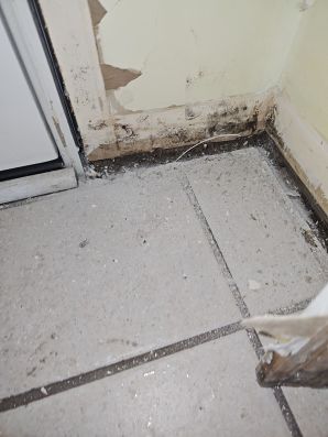 Water Damage Restoration in Jacksonville, FL (4)