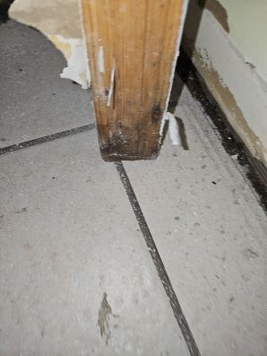 Water Damage Restoration in Jacksonville, FL (3)