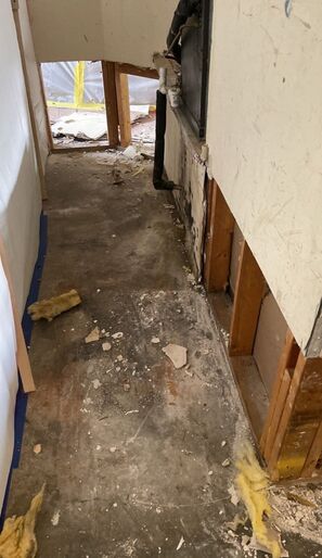 Mold Remediation in Jacksonville, FL (4)
