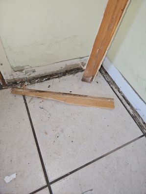 Water Damage Restoration in Jacksonville, FL (1)
