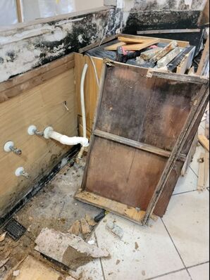 Mold Remediation in Jacksonville, FL (5)