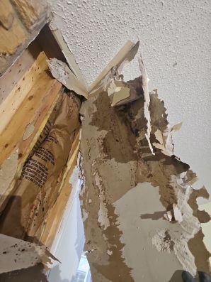 Water Damage Restoration in Jacksonville, FL (1)
