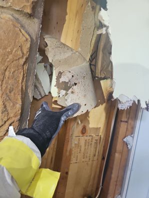 Water Damage Restoration in Jacksonville, FL (2)